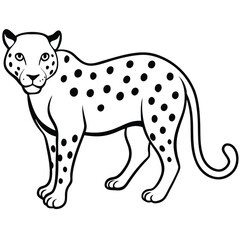 vector illustration of a leopard