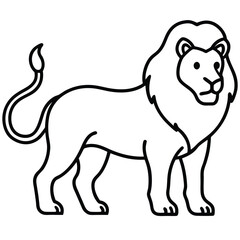 vector illustration of a lion 