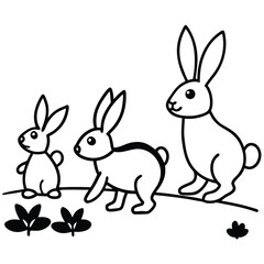 vector illustration of a rabbits