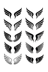 Obraz premium black and white wings set