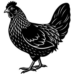 Chicken silhouette