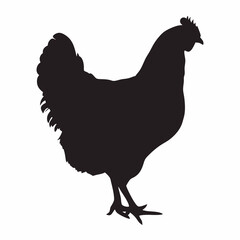 Chicken silhouette