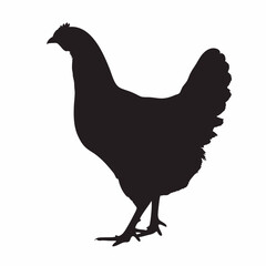 Chicken silhouette