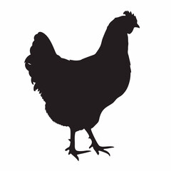 Chicken silhouette