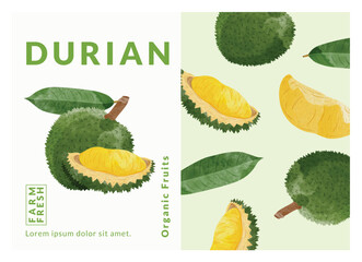 Durian  fruit packaging design templates, watercolour style vector illustration.