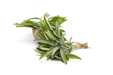 Fresh sage leaves displayed in a wooden bowl and tied in a rustic bundle with twine. Perfect for culinary, herbal, or decorative purposes