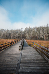 A wooden walking misty path in Bor na Czerwonem nature reserve in Nowy Targ in Poland
