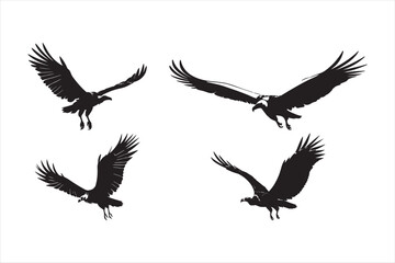 Flying Vulture Silhouette Vector Set Black Bird Illustration on White Background