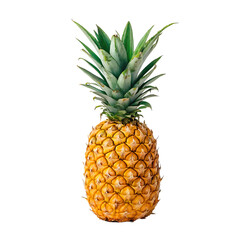 Fototapeta premium Fresh Ripe Pineapple Whole Tropical Fruit – Juicy Sweet Exotic Produce
