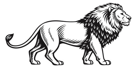 Stylized Airplane Vector Illustration for Travel and Adventure Themes