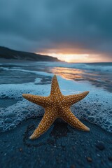 Fototapeta na wymiar Starfish Sunset Serenity: A Coastal Escape