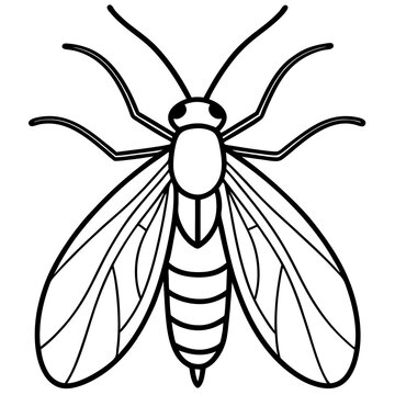 black and white insect outline clip art preview