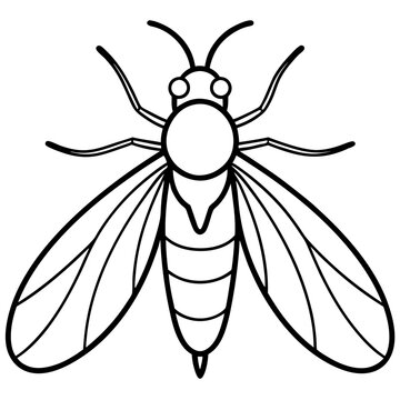 black and white wasp outline clip art preview