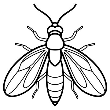 black and white insect with wings clip art preview