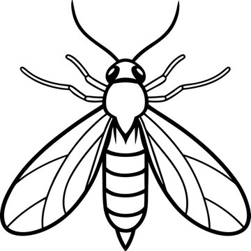 black and white wasp outline clip art preview