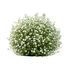 Fluffy 3D Cartoon Bush with Soft Rounded Edges and Baby's Breath Flowers Isolated on Transparent Background