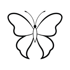 butterfly vector illustration