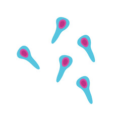 Bacteria Clostridium botulinum. Cartoon bacteria, biological microorganism. Microorganism flat vector illustration.