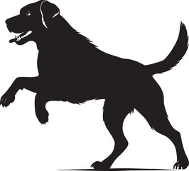 Silhouette of a playful black Labrador Retriever in motion.