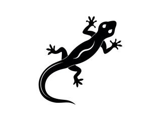 Lizard silhouette illustration vector Art