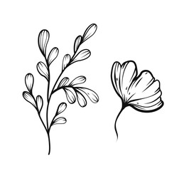 Elegant hand-drawn floral sketch with a blooming flower and leafy branch, in monochrome line art style on white background. Concept of botanical beauty. Vector illustration