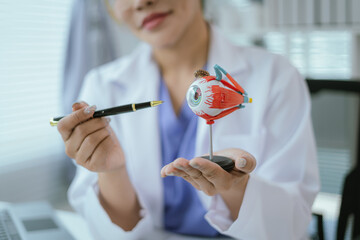Surgeon with human eye model and explains modern clinical treatment