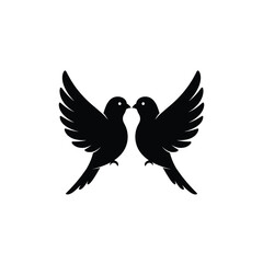 Fototapeta premium dove of peace