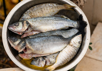 Preparing fish for grilling barbecue. Sea bream, sea bass and murmurs.