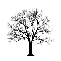 Obraz premium Frozen tree winter wonderland serene beauty magical night