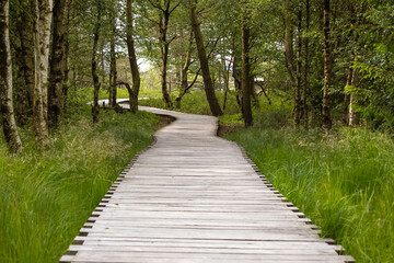 Obraz premium Moorweg