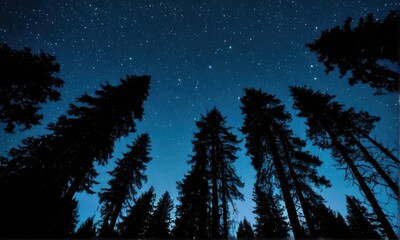 Silhouette of Pine Trees Against a Starry Night Sky