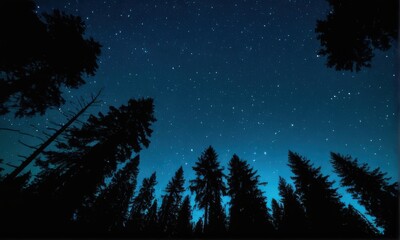 Naklejka premium Silhouetted Pine Trees Under Starry Night Sky