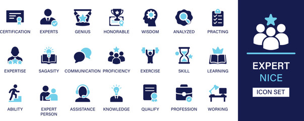 Expert icon set collection. Certification, experts, genius, honorable, wisdom,  expertise, sagacity, proficiency, ability and best solid icon set.