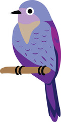 Purple colour beautiful natural bird clipart illustration silhouette with white background
