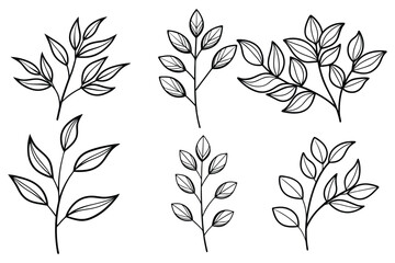 minimalist botanical line drawing