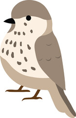 Grey bird sparrow clipart illustration silhouette with white background