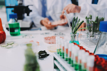 Team Asian scientists in a lab conducting food research using a microscope and lab equipment,...