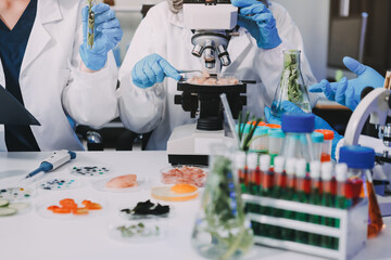 Team Asian scientists in a lab conducting food research using a microscope and lab equipment,...