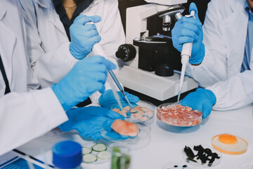 Team Asian scientists in a lab conducting food research using a microscope and lab equipment,...