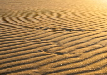 Obraz premium Golden Sand Dune Landscape Desert Ripples, Textures, Sunlight, Nature, Footprints, Background.