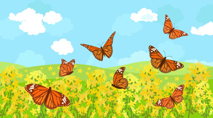 rural summer panoramic landscape of field blooming hypericum flowers with flying butterflies