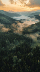 Misty Morning Forest Landscape at Sunset - Nature's Tranquil, Scenic View of Mountains and Clouds in a Serene, Rural Wilderness Panorama