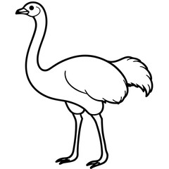 Ostrich Vector Illustration - Cartoon, Clipart & Line Art | Printable Digital Design

