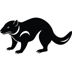 Adobe Vector illustration of zorilla isolated on white background.Illustrator Artwork