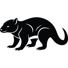 Adobe Vector illustration of zorilla isolated on white background.Illustrator Artwork