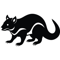 Obraz premium Adobe Vector illustration of zorilla isolated on white background.Illustrator Artwork