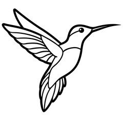 Fototapeta premium Hummingbird Vector Illustration – Cartoon, Clipart & Line Art Printable Graphic Design