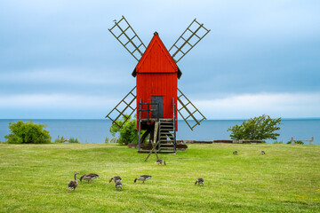 Traditional scandinavian windmill in seashore, Sweden