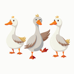 Set of white ducks on white background