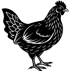 Hen Silhouette Vector Art for Farm Animal and Rustic Design Themes